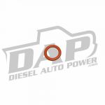 DAP Single Fuel Connector Tube O-Ring - 4062328-X1