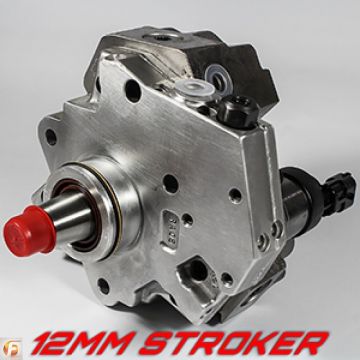 DDP 12MM Stroker CP3