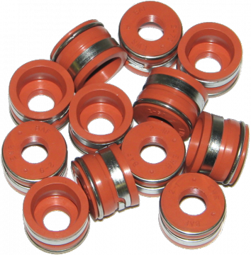 5.9L 12 Valve Dodge Cummins Valve Seals (12)