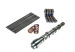 6.0/6.4 Cam package Cam, springs, pushrods, lifters