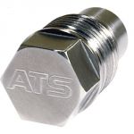 Fuel Rail Pressure Plug