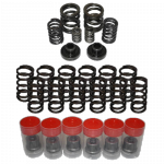 DAP Power Combo 60# Valve Springs With 3k/4k Gov Spring & 191 Delivery Valves & Socket