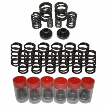 DAP Power Combo 60# Valve Springs With 3k/4k Gov Spring & 191 Delivery Valves & Socket