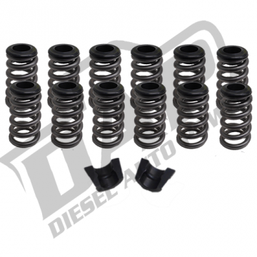 DAP Performance springs with locks and retainers 145lb
