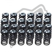 24V Conical Pressure Tower Valve Spring Kit With Tool Steel Retainers.  4500RPM