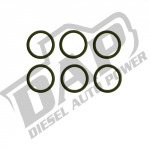Delivery Valve Replacement O-rings