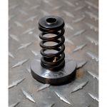 Hamilton Cams High RPM Spring and Titanium Retainers