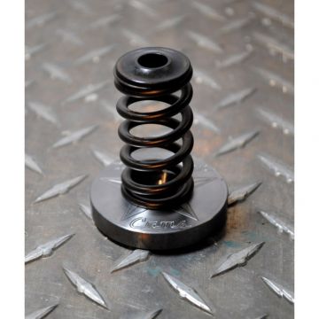 Hamilton Cams High RPM Spring and Titanium Retainers