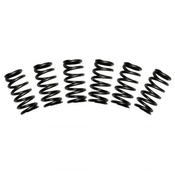 Valve Spring Kit 60# Cummins 5.9 12-valve (6 Springs)